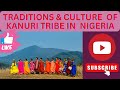 Exploring The Rich Culture Of The Kanuri Tribe In Nigeria Chad And Cameroon Mind Ful