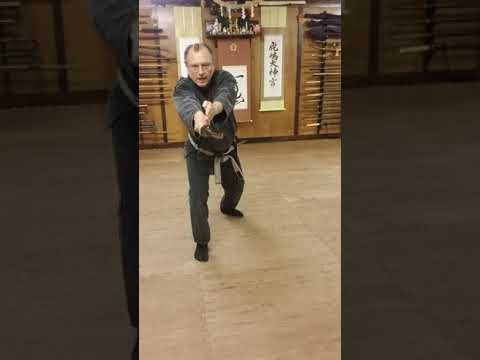 AZBujinkan - 11 - Gogyo With Wakizashi (Part 1)