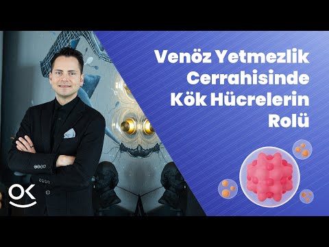 Kök Hücreler, Venöz Yetmezlik Cerrahisinin Sonuçlarını İyileştirebilir mi?