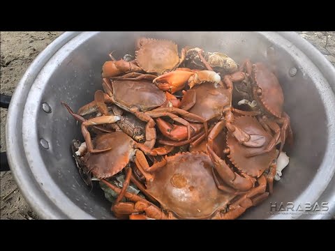 EP769-P2 - Pandudukot ng Alimango | Occ. Mindoro