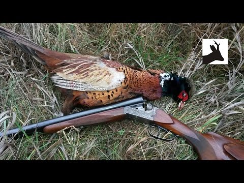 Driven hares and walked up pheasants - Polowanie Wigilijne