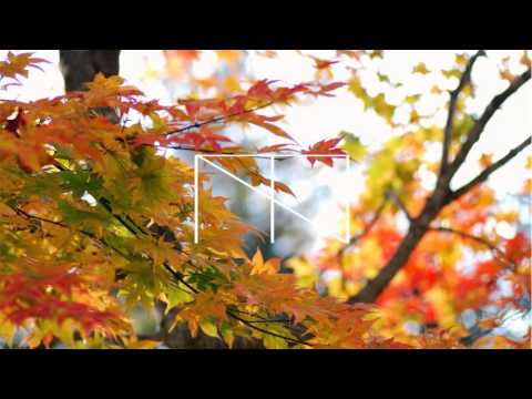 Trippy Turtle - Furthest Thing