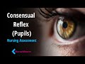 Consensual Reflex: Pupil Assessment in Nursing (Demo)