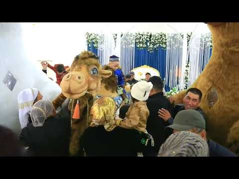 Miranbek sunnat tuy (11 11 2025) Xon Saroy tuyxona.