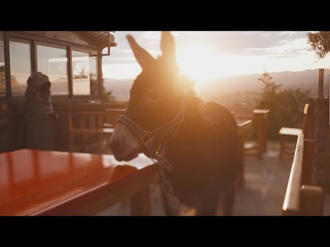 Lean Kozlar Luigi - Zaplešimo V Noč (Official Video)