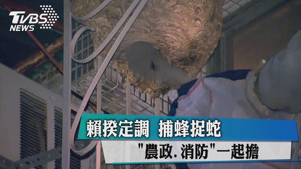 賴揆定調 捕蜂捉蛇「農政、消防」一起擔