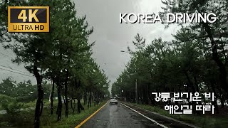 강릉가뭄 적시는 비! 해안도로 속으로/해안로 : 포남동 - 경포 - 도깨비해변