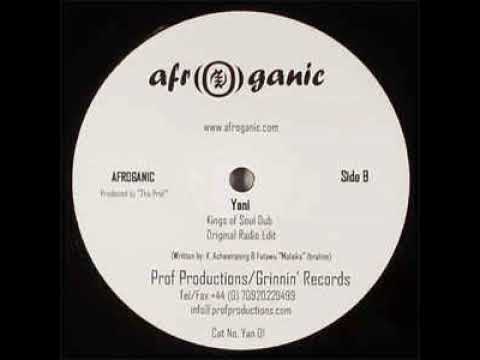 Afroganic - Yani (Kings Of Soul Remix)