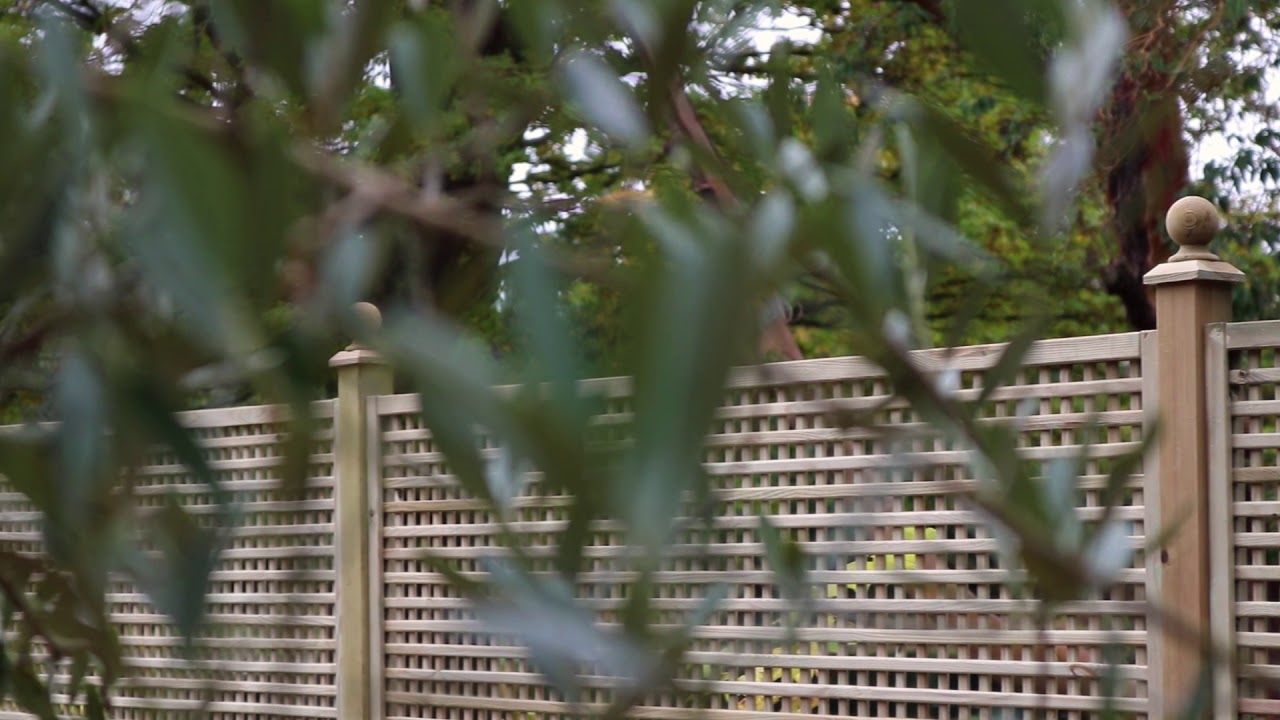 Square Privacy Trellis Video