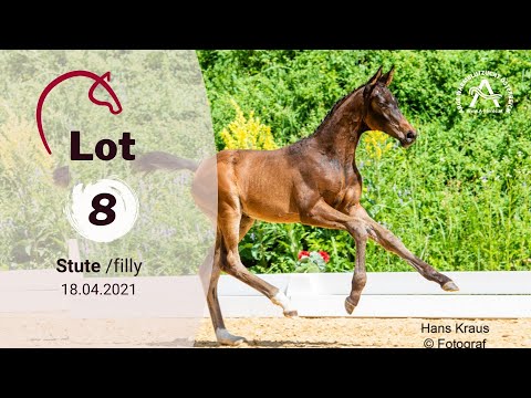Catalogue #8 - Wahre Liebe - 1st AUSTRIAN ONLINE FOAL AUCTION