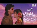 Dekha Tujhe Toh Slowed Reverb Koyla Kumar Sanu Alka Yagnik 90 S Love Songs Lofi Songs