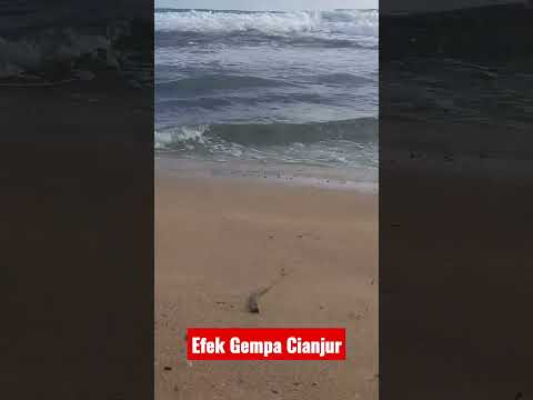 Ngerii||Efek Gempa Cianjur Terhadap Laut Selatan