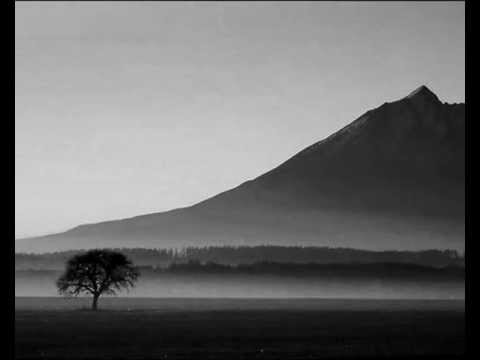 Tadeusz Woźniak -- "Widziałem"