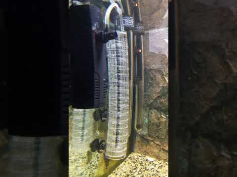 JBL CO2 Taifun in Verbindung mit Innenfilter