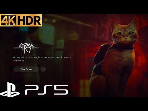 STRAY PS5 Gameplay Walkthrough 4K 60FPS HDR Part 1 Intro FULL GAME No Commentary