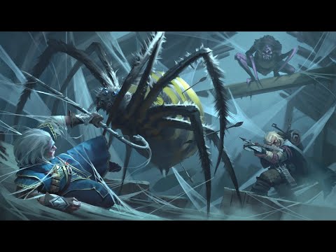 What They Don't Tell You About The Ettercaps - D&D