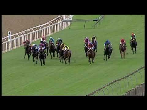 20191226 Hollywoodbets Greyville express clip Race 4 won by ANTIGONUS