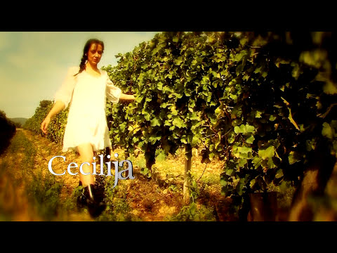 Bećaruša  CECILIJA                  Z Šutalo M Škoro Ž Barba I Murat