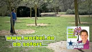 Alt Wie Ein Baum Lyrics English Translation