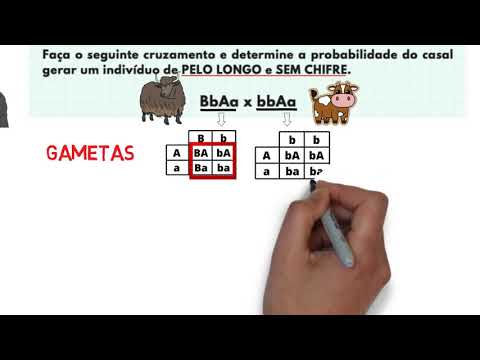 SUMMARY MENDEL'S SECOND LAW with exercise