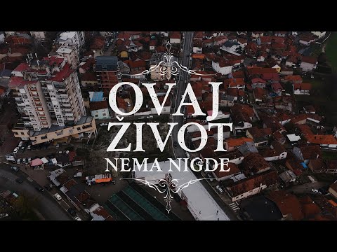 Bassivity Digital and Coby