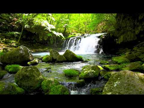 Waterfall and fresh green forest in Japan. Flowing Water, Waterfall and River Sounds for Sleeping.