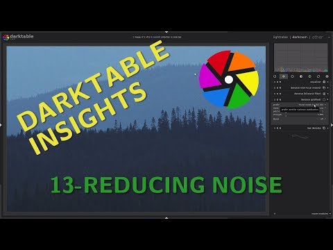 Noise reduction - Darktable Insights ep 13