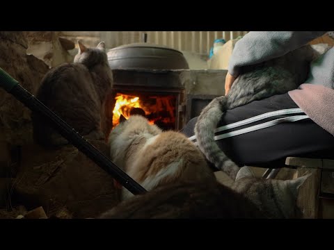 눈 오는 날 다 같이 모여 불멍하기, 새 식구 고양이들 첫눈 경험 시켜주기