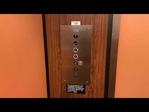 Dover Hydraulic Elevators at JCPenney, Southland Center