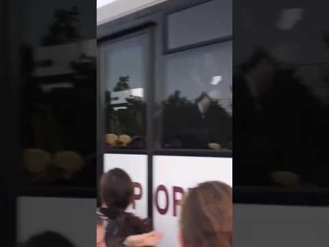 Hundreds of thousands flock to Galilee mountain for Lag B’Omer festival