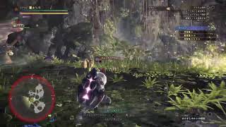 モンハンワールドアイスボーン。プレステ5。ブロードキャスト配信。