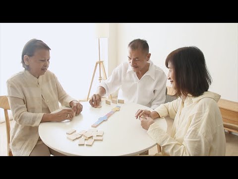 PlanToys | 8905 Mood Dominos