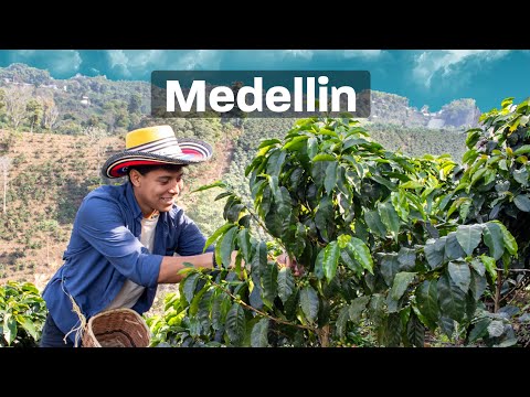 Living in Medellin, Colombia as a digital nomad