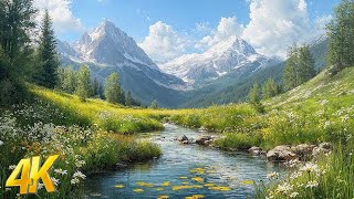 Stunning Beauty - 4K Planet Earth