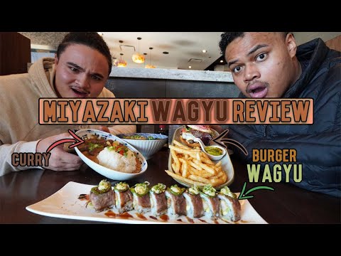Tasting EXPENSIVE Japanese Wagyu Beef Tour! 🥩 Beefy, Umami, Flavor! | Miyazaki | Big Time Reviews
