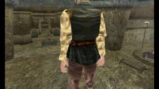 TES III Morrowind 32 Лук Теней Шлем Бладворм Боты Лёгкой Походки Встреча с Марой