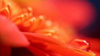 Lesley Garrett－Dome Epais Duet