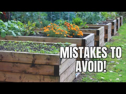 , title : 'Avoid These 5 Common Raised Bed Garden Mistakes'