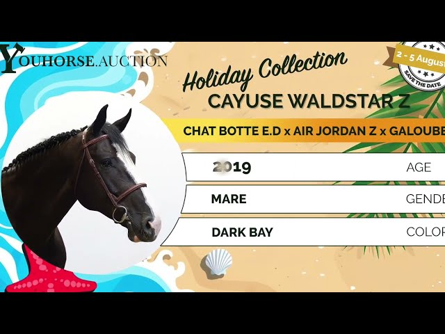 Cayuse showvideo