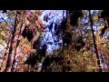 Sithara Video Song Winner Movie