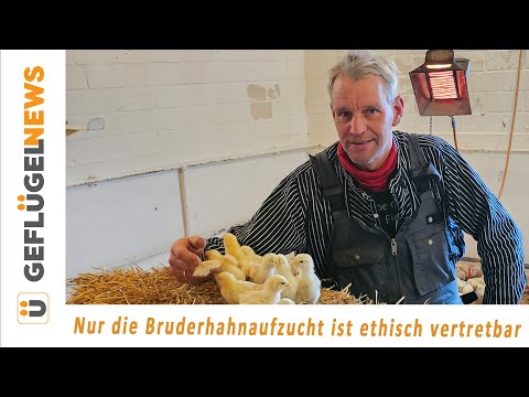 In-Ovo Geschlechtsbestimmung oder Kükentöten sind keine Alternativen - Bioland Geflügelhof Bodden