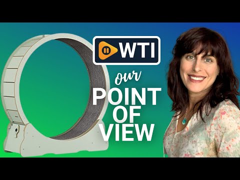 NBVNBV Cat Wheel Exercisers - WTI product video review