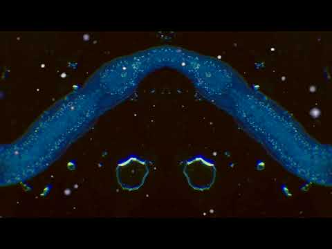 DEAD MEADOW - Voyager to Voyager (official video) // HEAVY PSYCH SOUNDS Records