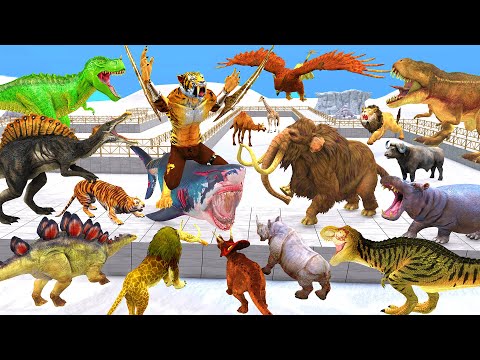 Dinosaurs vs Animals vs Saber Tooth Tiger Speed Race Zigzag Course Animal Revolt Battle Simulator