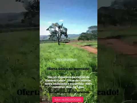 Fazenda extra em Caturaí Goiás! - Whatsapp 62 99373-6407 | Ricco Agronegócio