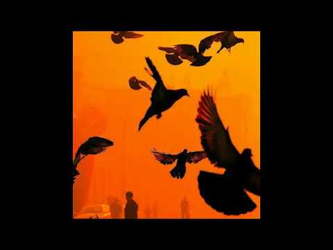 [FREE] irko + h jeunecrack type beat - "gazé" (p. 6min)