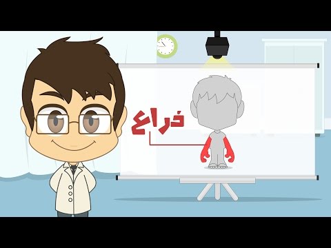 Human Body Parts in Arabic for Kids - أجزاء جسم الإنسان باللغة العربية للأطفال