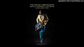 The Polish Ambassador - Perfectly Imperfect Ft. The Grouch, Scott Nice