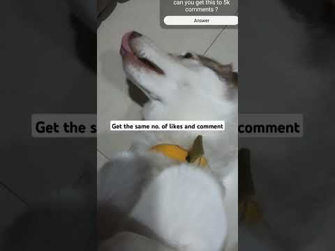 I bet This video can't get the same no. of likes and comments #fyp #shorts