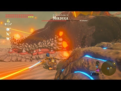 Fully Powered Master Sword DESTROYS Molduga - Zelda Breath of the Wild